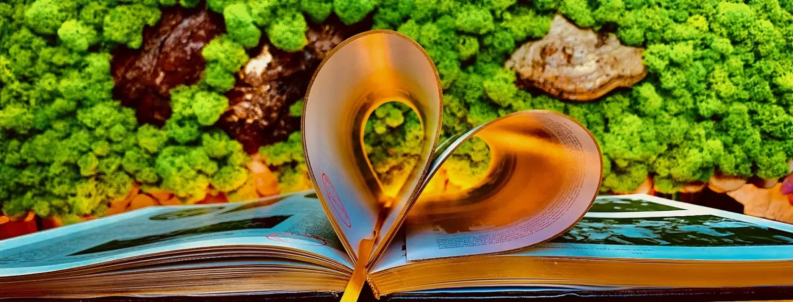 Tło wizytówki Gminna Biblioteka Publiczna w Czerwinie